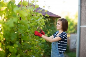 shutterstock_295125467